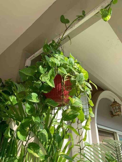 Furnished Villa Near Airport, Away From City Bhopal Zewnętrze zdjęcie